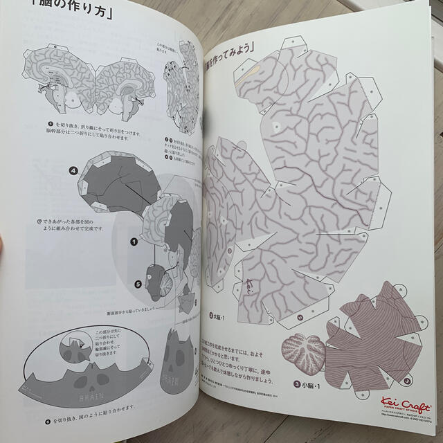 脳を学ぶ 「ひと」とその社会がわかる生物学 改訂第２版 エンタメ/ホビーの本(健康/医学)の商品写真