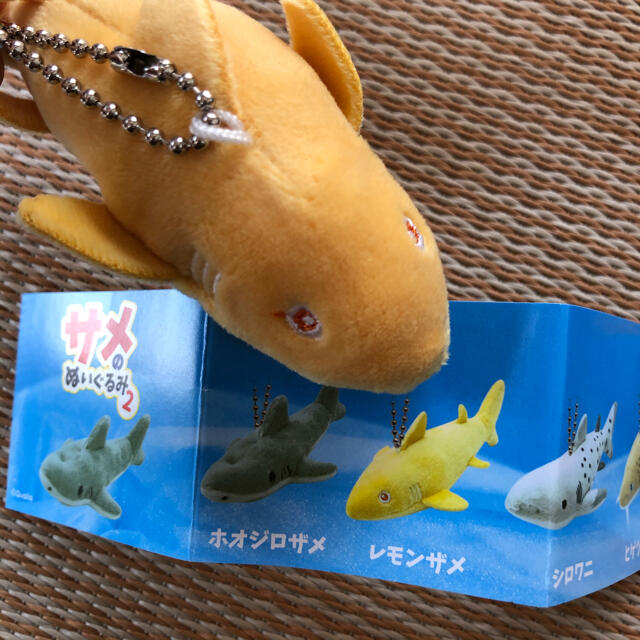 サメのぬいぐるみ　レモンザメ エンタメ/ホビーのおもちゃ/ぬいぐるみ(ぬいぐるみ)の商品写真