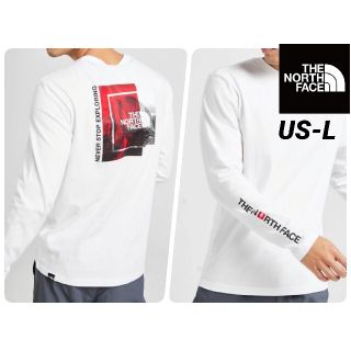 ザノースフェイス(THE NORTH FACE)のノースフェイス マウンテンプリントロングスリーブTシャツ 海外Lサイズ ロンT(Tシャツ/カットソー(七分/長袖))