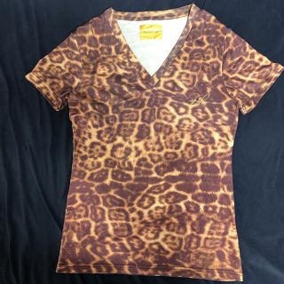 ドレスキャンプ(DRESSCAMP)の美品 DRESS CAMP ドレスキャンプ 豹柄 ヒョウ柄 Vネック Tシャツ(Tシャツ/カットソー(半袖/袖なし))