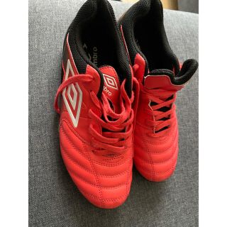 アンブロ(UMBRO)のスニーカー　スポーツシューズ　トレーニングシューズ　25cm(スニーカー)