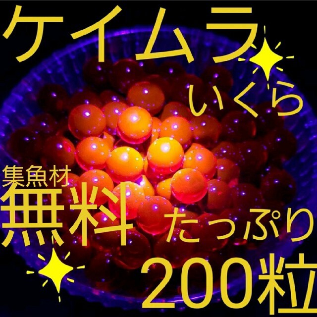 ケイムラ　セール中☆　いくらルアー　ルアー　アジ　メバル　餌釣り　穴釣り　サビキ スポーツ/アウトドアのフィッシング(ルアー用品)の商品写真