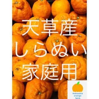 不知火　家庭用　2kg(フルーツ)