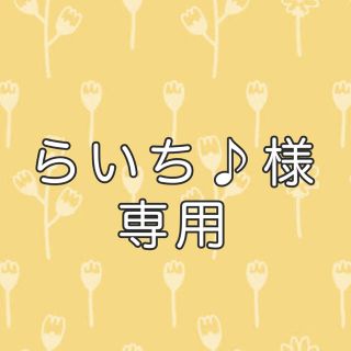 【らいち♪様専用】県内在住 / 県外ナンバー　マグネットステッカー(車外アクセサリ)