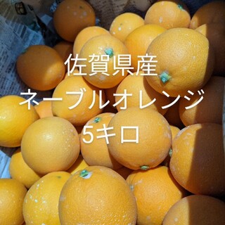 オレンジ　5キロ(フルーツ)