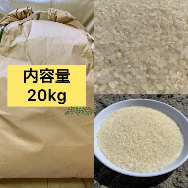 新米　20kg　令和2年産　米/穀物　夢しずく　規格外白米【中米】