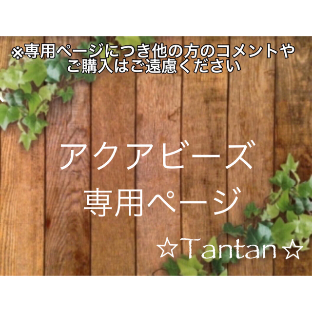 ひさひろり様専用☆アクアビーズ100個✕14袋の通販 by ☆Tantan☆｜ラクマ