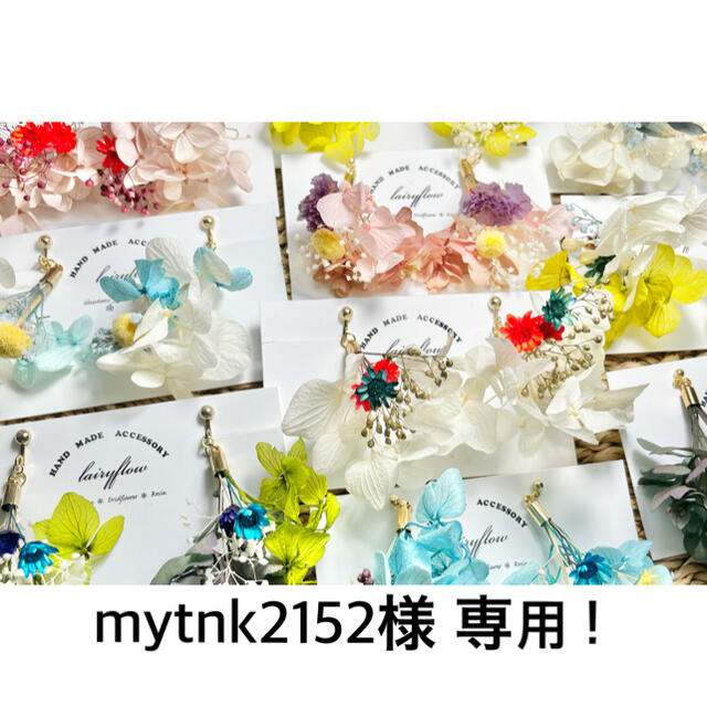 mytnk2152様専用ページ！ ハンドメイドのアクセサリー(イヤリング)の商品写真