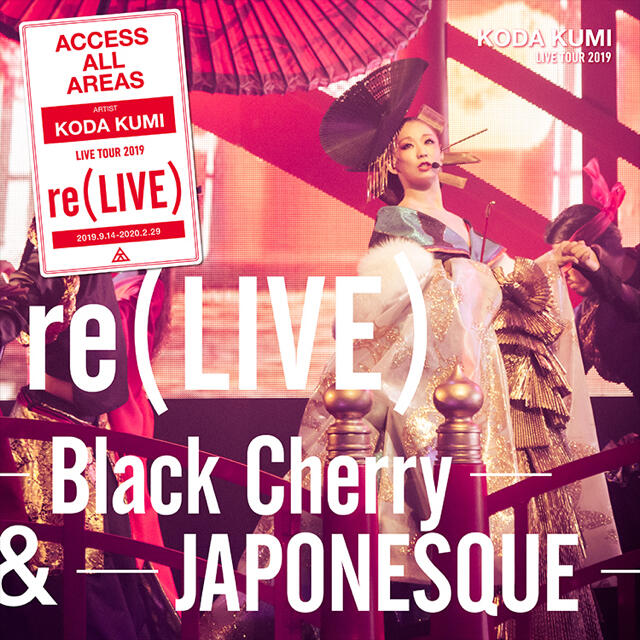 倖田來未 レア re(LIVE) FC限定盤 3DVD + 2CD ＋写真集エンタメ/ホビー