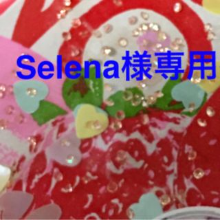 Selena様☆専用ページです ポーチ2点(その他)