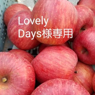 LovelyDays様専用　小玉サンふじ10㎏(フルーツ)