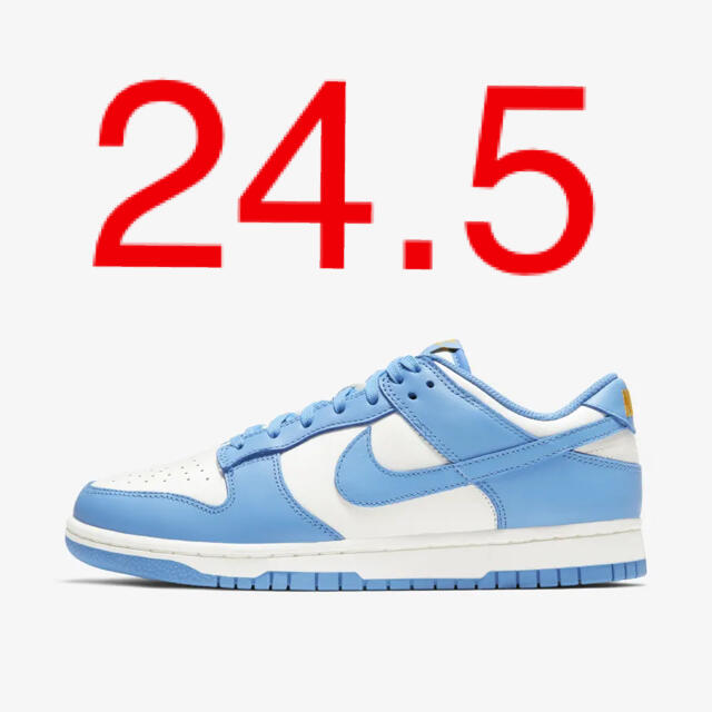 NIKE Wmns Dunk Low Retro Coast 24.5cm