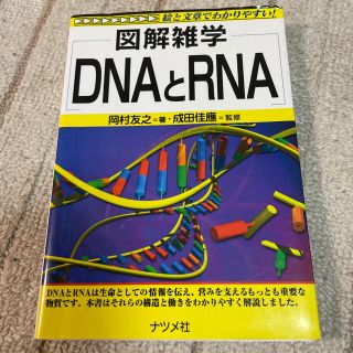 ＤＮＡとＲＮＡ 図解雑学　絵と文章でわかりやすい！(科学/技術)