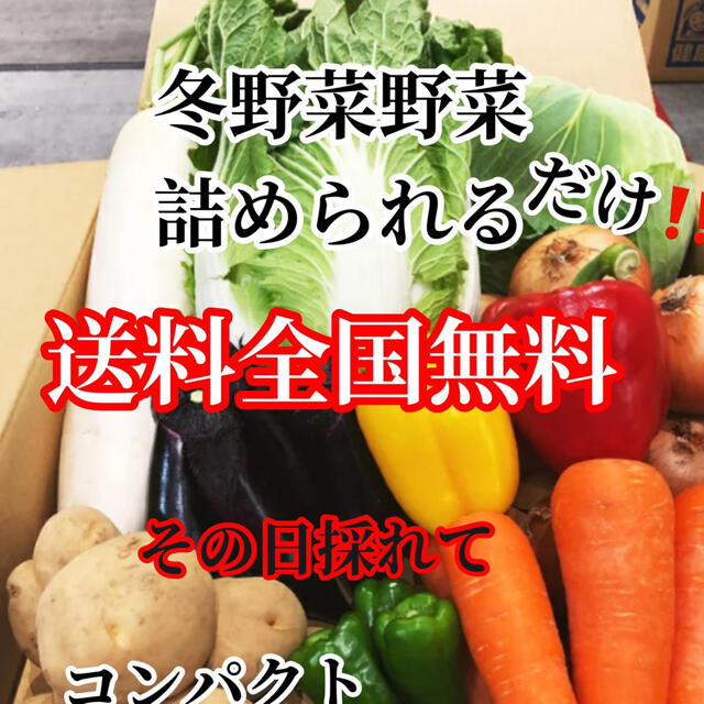 激安❗️おまかせ農家直送野菜コンパクト入る分だけ詰めます送料無料 食品/飲料/酒の食品(野菜)の商品写真