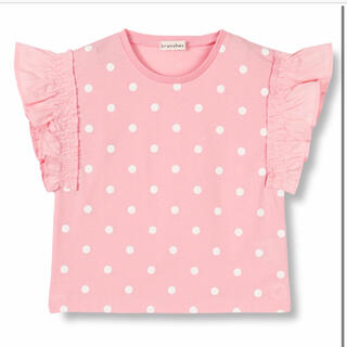 ブランシェス(Branshes)の新品 ブランシェス ドット柄半袖Tシャツ ピンク 150センチ 女の子 キッズ(Tシャツ/カットソー)