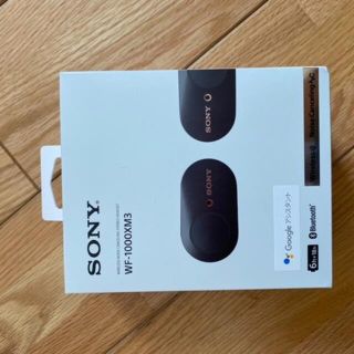 ソニー(SONY)のSONY ワイヤレスイヤホン(その他)