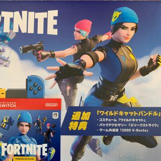 ニンテンドースイッチ(Nintendo Switch)のSwitch フォートナイト コードのみ (その他)