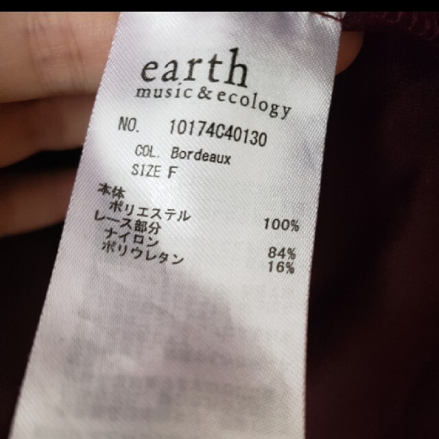 earth music & ecology(アースミュージックアンドエコロジー)のレース　トップス レディースのトップス(シャツ/ブラウス(長袖/七分))の商品写真