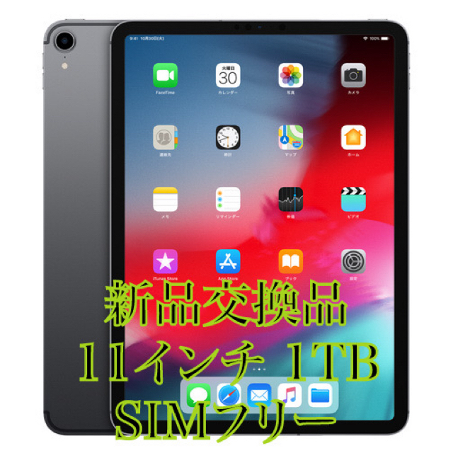 スマホ/家電/カメラ新品交換 iPad Pro 第一世代 1TB スペースグレイ セルラーモデル