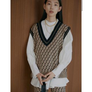 アメリヴィンテージ(Ameri VINTAGE)のMODERN TILDEN KNIT TOP(ニット/セーター)