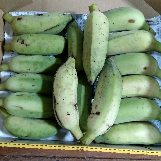 沖縄産　無農薬 絶品　アップルバナナ　コンパクトにぎっしり1kg 食品/飲料/酒の食品(フルーツ)の商品写真