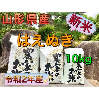 【米農家直送！】令和2年 山形県産 はえぬき100%  白米10kg(米/穀物)