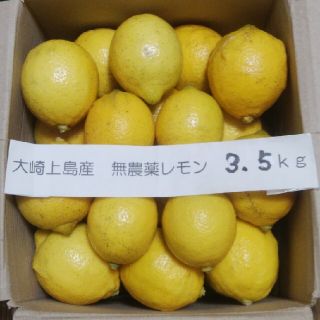 広島県大崎上島無農薬レモン　3.5kg(フルーツ)