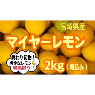 【現品限り！】希少❣️マイヤーレモン2㎏（送料込み）/果物　レモンみかん(フルーツ)