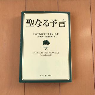 カドカワショテン(角川書店)の聖なる予言(文学/小説)