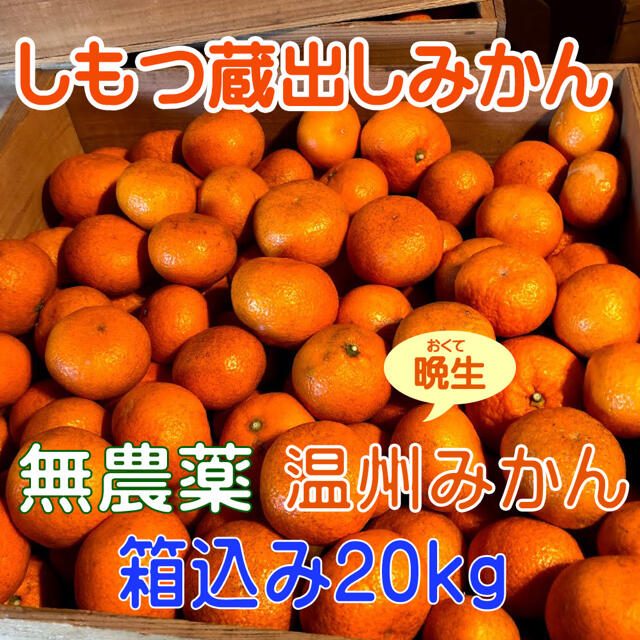 しもつ蔵出しみかん 箱込み20kg 無農薬