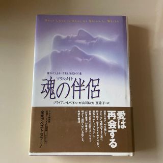 魂の伴侶（ソウルメイト） 傷ついた人生をいやす生まれ変わりの旅(その他)