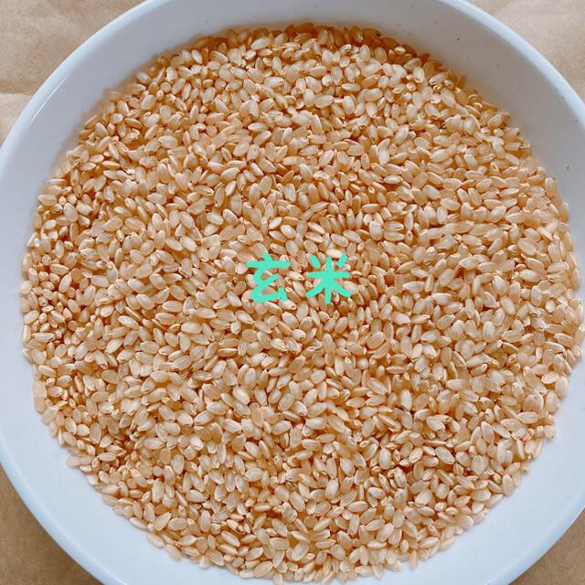 自然栽培米　コシヒカリ　令和2年　玄米20kg　無農薬・無肥料　あぐり佐野