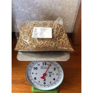 大麦　殻付き800ｇ(健康茶)