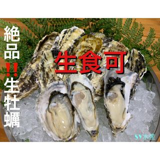 生牡蠣　2.5キロ(30個前後) 伊万里湾産　殻付きカキ　ナイフ軍手付　送料無料(魚介)