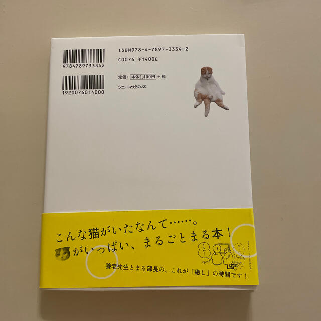 うちのまる 養老孟司先生と猫の営業部長 エンタメ/ホビーの本(文学/小説)の商品写真