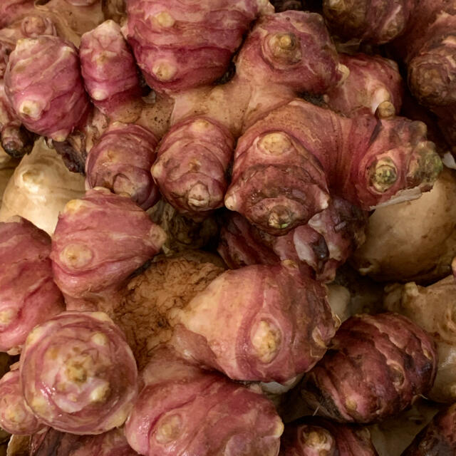 フランス菊芋カプセル 約1ヶ月分90個 2袋 菊芋パウダー 旅行や外食に便利 の通販 By Bonbon S Shop ラクマ フランス菊芋カプセル 約1ヶ月分90個 2袋 菊芋パウダー 旅行や外食に便利 の通販 By Bonbon S Shop ラクマ