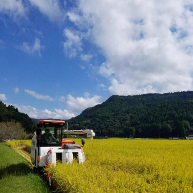 pin0420様専用　25キロ精米 食品/飲料/酒の食品(米/穀物)の商品写真