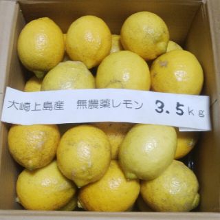 広島県大崎上島無農薬レモン　3.5kg(フルーツ)