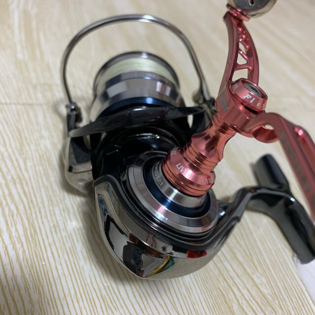 DAIWA(ダイワ)の18イグジストLT2500 スポーツ/アウトドアのフィッシング(リール)の商品写真