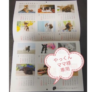 《専用》2点セット♪カレンダー&ファミリア毛布 ソニー生命 非売品 美品(毛布)