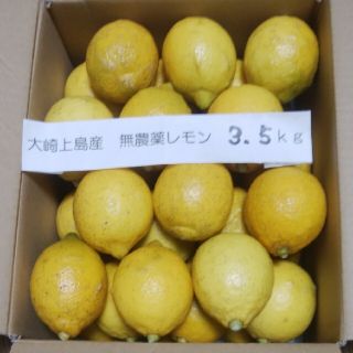 広島県大崎上島無農薬レモン　3.5kg(フルーツ)