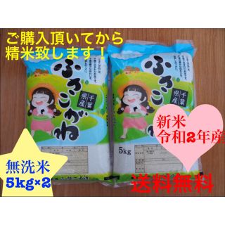 ふさこがね  無洗米　10kg(米/穀物)