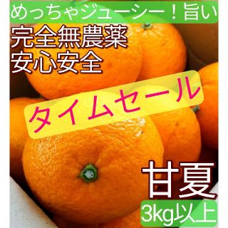 【農園直送】　 完全無農薬　ノーワックス　めちゃ旨　ジューシー　甘酸っぱい　甘夏(フルーツ)