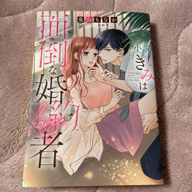 白泉社(ハクセンシャ)の小説 きみは面倒な婚約者 エンタメ/ホビーの本(文学/小説)の商品写真