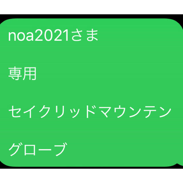 noa2021さま  専用  セイクリッドマウンテン  グローブ