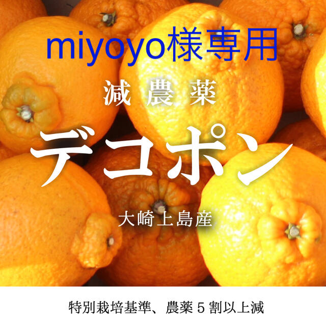 【miyoyo様専用】減農薬 デコポン 4キロノーワックス　広島県産 大崎上島  食品/飲料/酒の食品(フルーツ)の商品写真