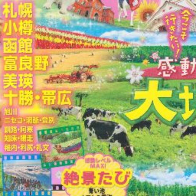 北海道’20　るるぶ　値下げしました再値下げしました再再値下げしました エンタメ/ホビーの本(地図/旅行ガイド)の商品写真