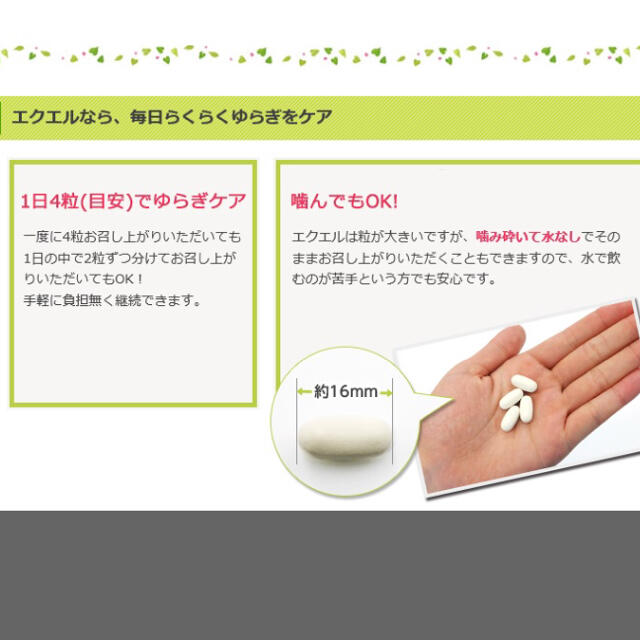 大塚製薬(オオツカセイヤク)の大塚製薬 エクエル １１２粒 食品/飲料/酒の健康食品(その他)の商品写真