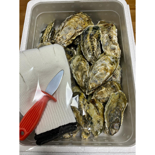 マロン様専用 食品/飲料/酒の食品(魚介)の商品写真