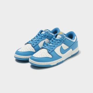 ナイキ(NIKE)のNike Wmns Dunk Low Retro Coast 24cm(スニーカー)